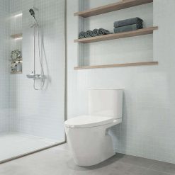 Bồn cầu hai khối AC-602VN nắp đóng êm