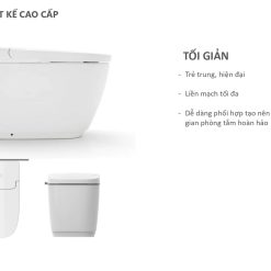 Bồn cầu thông minh INAX SARAS Light-E AC-816VN