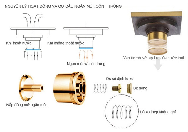 Cơ cấu hoạt động